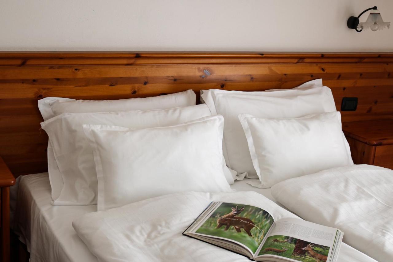 Hotel Garni Civetta Selva di Cadore Ngoại thất bức ảnh
